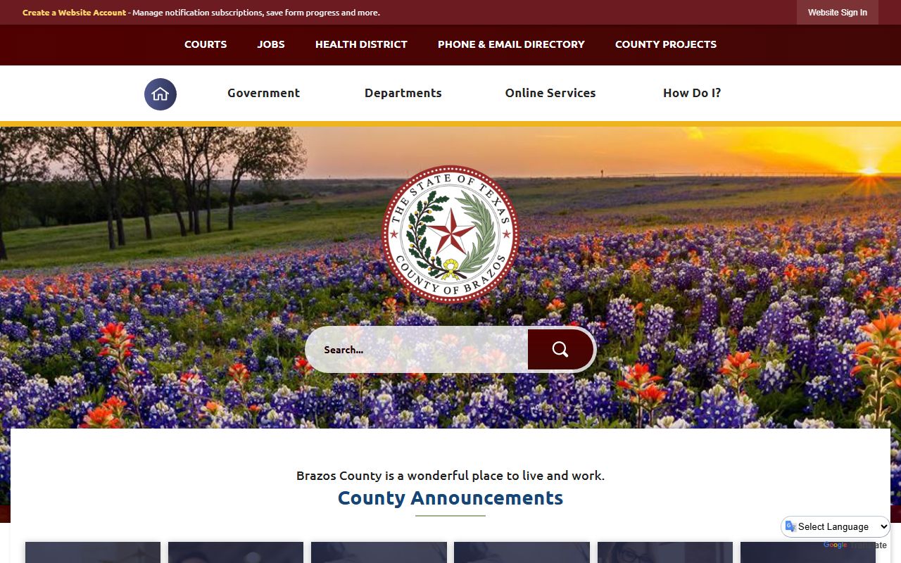 Brazos County District Clerk homepage for Brazos County divorce records